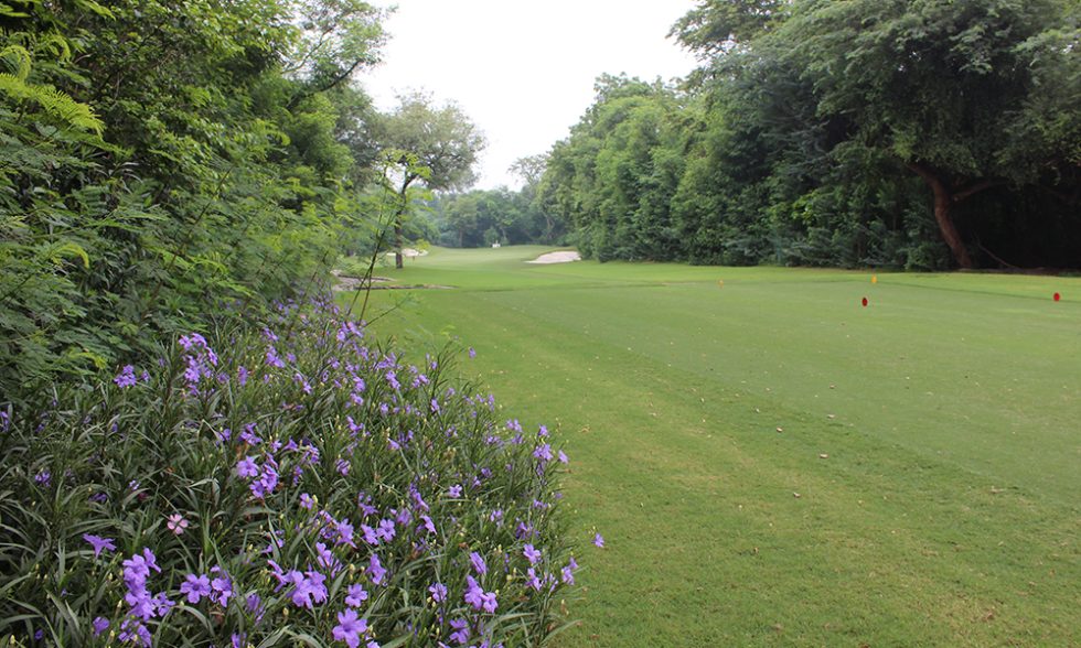 The Delhi Golf Club